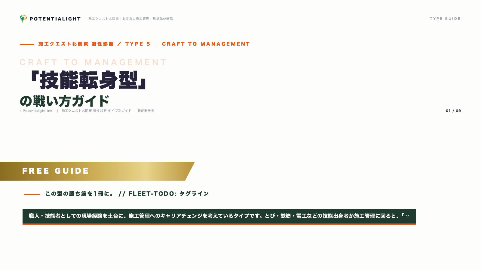 技能転身型の戦い方ガイド 表紙
